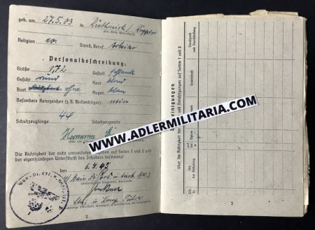 Soldbuch - Pioneer Brandt - 1945 - Oder Front - Rare Late War Soldbuch Version - Image 4