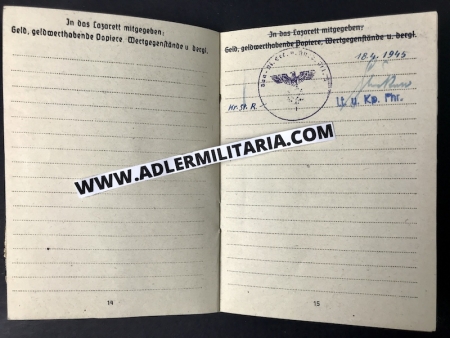Soldbuch - Pioneer Brandt - 1945 - Oder Front - Rare Late War Soldbuch Version - Image 9