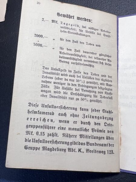 WWII German N.S Stahlhelm Bund Grouping - Dr Hennig -Hamburg - Rare Early ID Set! - Image 21