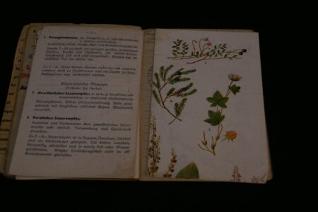 Original WWII German Luftwaffe Soldbuch - Obergefreiter Heinrich Becker - Luftgau-Nachrichten-Regiment Moskau - Image 26