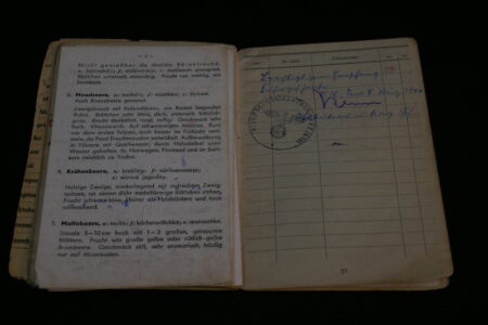 Original WWII German Luftwaffe Soldbuch - Obergefreiter Heinrich Becker - Luftgau-Nachrichten-Regiment Moskau - Image 27
