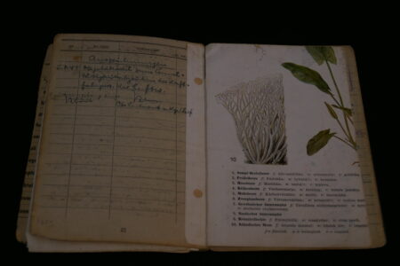 Original WWII German Luftwaffe Soldbuch - Obergefreiter Heinrich Becker - Luftgau-Nachrichten-Regiment Moskau - Image 28