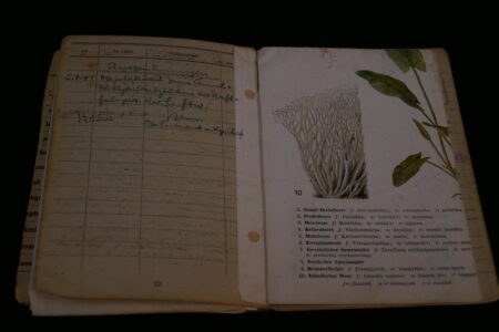 Original WWII German Luftwaffe Soldbuch - Obergefreiter Heinrich Becker - Luftgau-Nachrichten-Regiment Moskau - Image 29